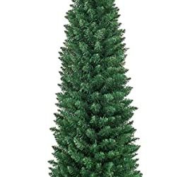 7 5 Below Christmas Tree (October 2026)