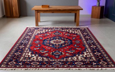 10 Best Safavieh Area Rugs (October 2026)